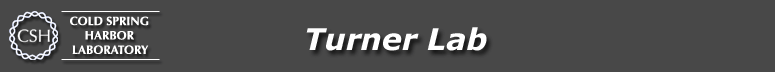 Turner Lab